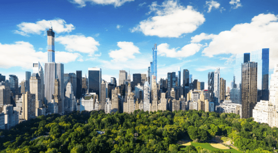 The Rise of the Decentralized Economy